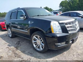  Salvage Cadillac Escalade