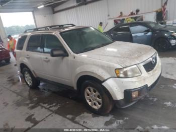  Salvage Mazda Tribute