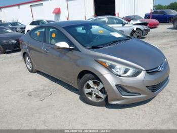  Salvage Hyundai ELANTRA