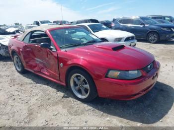  Salvage Ford Mustang