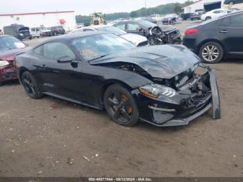  Salvage Ford Mustang