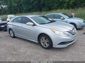  Salvage Hyundai SONATA