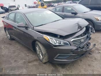  Salvage Hyundai SONATA