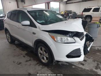  Salvage Ford Escape