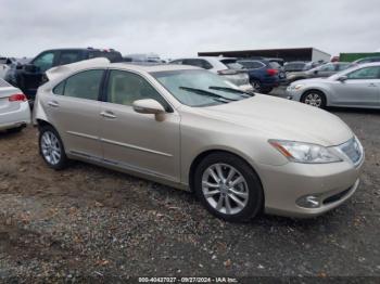  Salvage Lexus Es