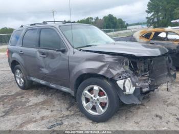  Salvage Ford Escape