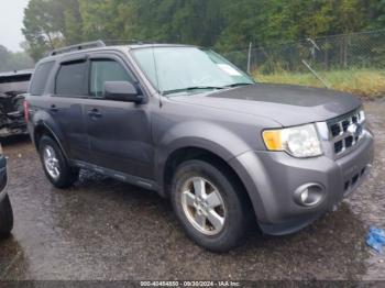  Salvage Ford Escape