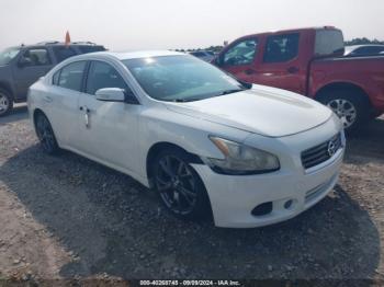  Salvage Nissan Maxima