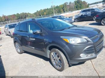  Salvage Ford Escape