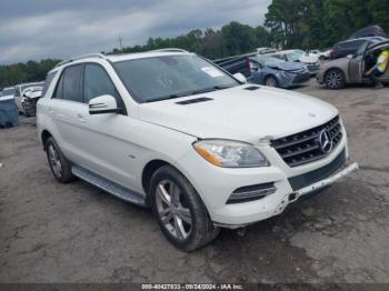  Salvage Mercedes-Benz M-Class