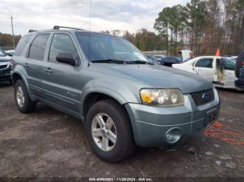  Salvage Ford Escape