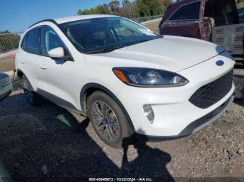  Salvage Ford Escape