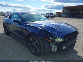  Salvage Ford Mustang