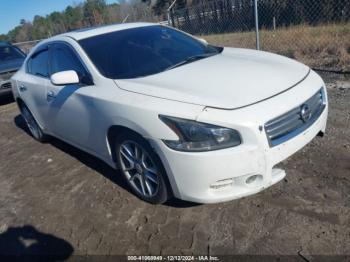  Salvage Nissan Maxima