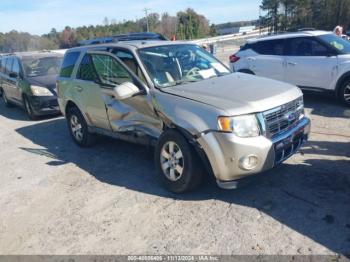  Salvage Ford Escape