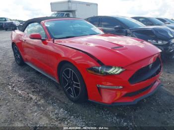  Salvage Ford Mustang