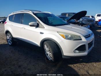  Salvage Ford Escape