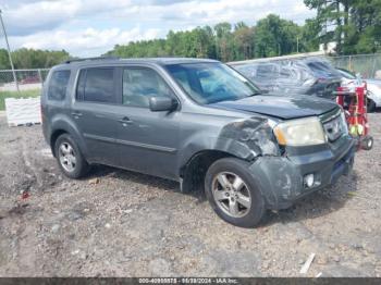  Salvage Honda Pilot