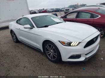  Salvage Ford Mustang