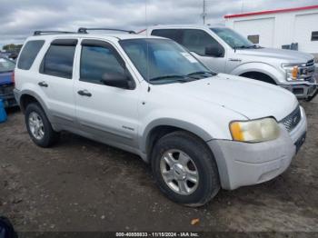  Salvage Ford Escape