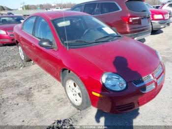  Salvage Dodge Neon