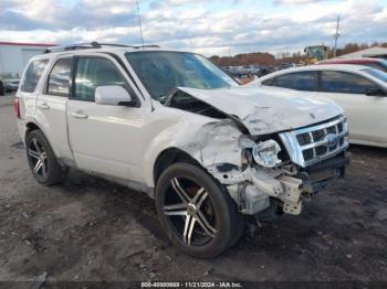  Salvage Ford Escape