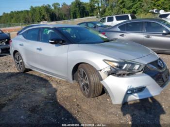  Salvage Nissan Maxima