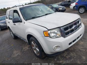  Salvage Ford Escape