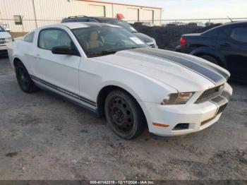  Salvage Ford Mustang