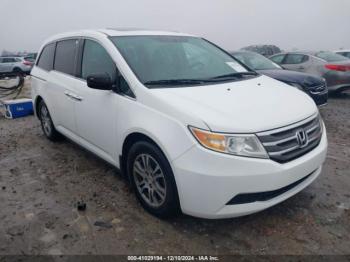  Salvage Honda Odyssey