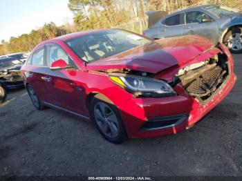  Salvage Hyundai SONATA