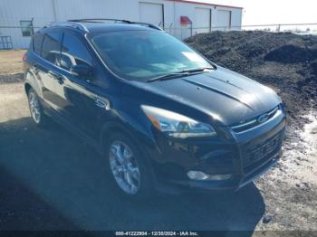  Salvage Ford Escape