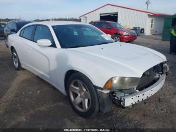  Salvage Dodge Charger