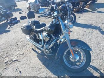  Salvage Harley-Davidson Flstni