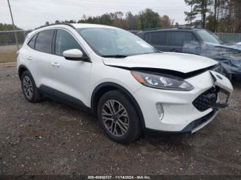  Salvage Ford Escape