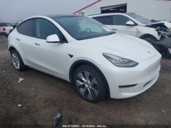  Salvage Tesla Model Y