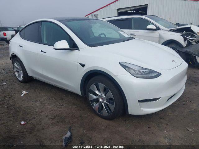  Salvage Tesla Model Y