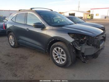  Salvage Ford Escape