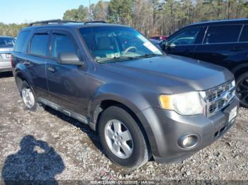  Salvage Ford Escape