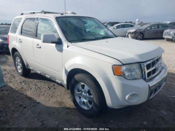  Salvage Ford Escape