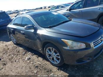  Salvage Nissan Maxima