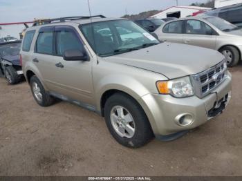  Salvage Ford Escape