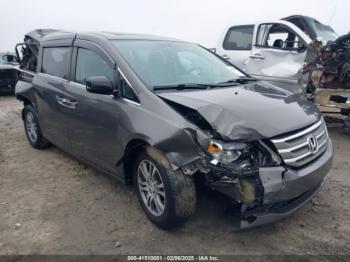  Salvage Honda Odyssey