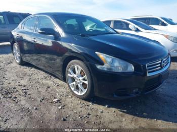  Salvage Nissan Maxima