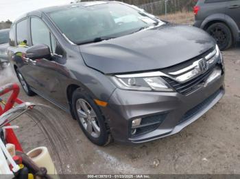  Salvage Honda Odyssey