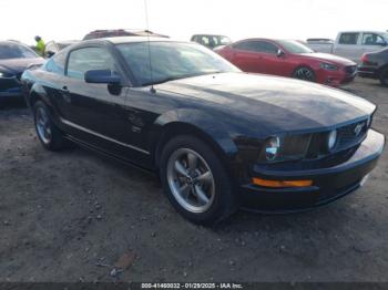  Salvage Ford Mustang