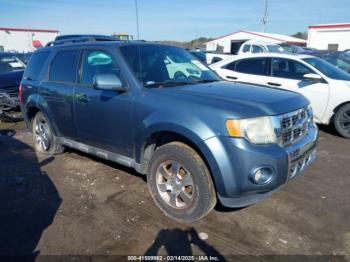  Salvage Ford Escape