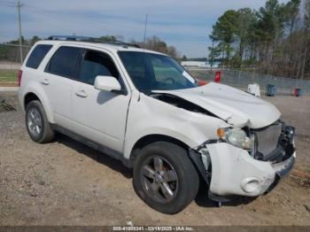  Salvage Ford Escape