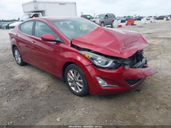  Salvage Hyundai ELANTRA