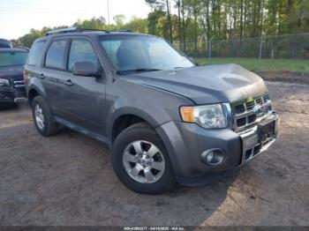  Salvage Ford Escape